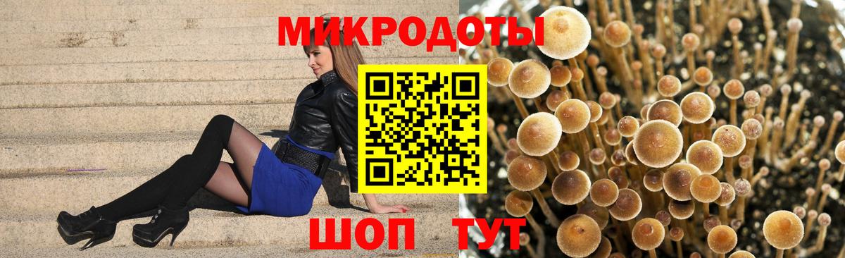 купить  сайты  Нальчик  Галлюциногенные грибы Psilocybine cubensis 