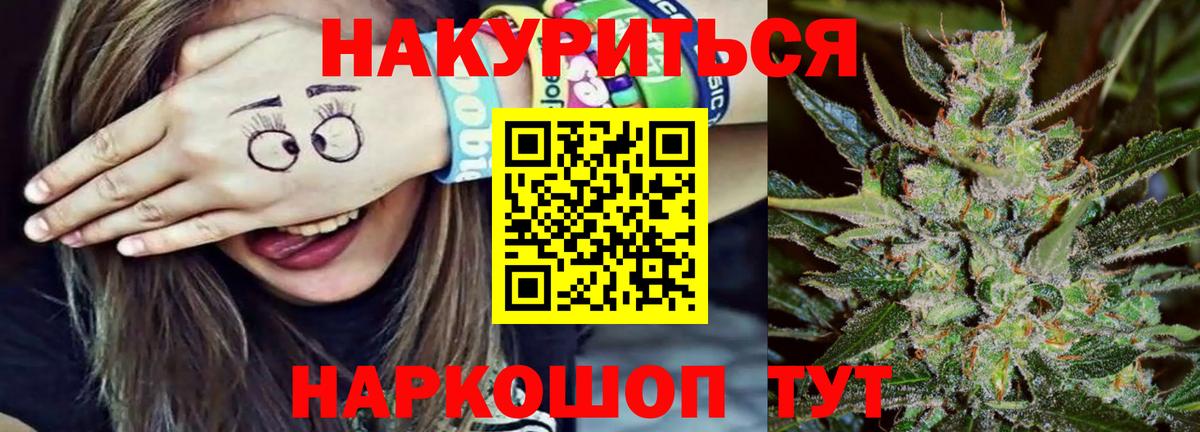 Конопля сатива Нальчик